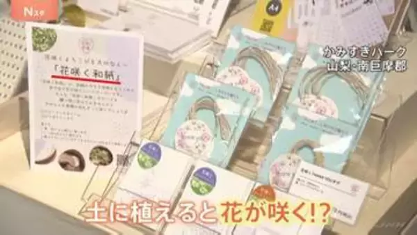 水に浸して土に植えると花が咲く！？不思議な和紙　新たな付加価値とサステナブル【SUNトピ】