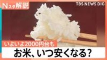 【朗報】お米5kgが2999円！3年ぶりの安値に歓喜も…今後は「イラン情勢」が価格を左右？【Nスタ】