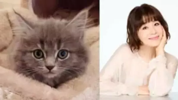 【 大地真央 】 「家族が増えました」　元宝塚トップコンビ　黒木瞳の家で生まれた猫を紹介　「美しい猫様」「高貴な佇まい」