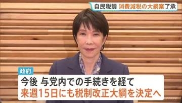 自民党の会合で消費減税に関する税制改正大綱の案を了承　政府が来週15日にも決定へ