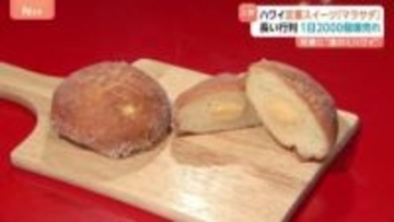 ハワイ定番のスイーツ「マラサダ」 なぜ人気に？ 円安・物価高の影響でハワイ旅行のハードル高く…食べて行った気分に！