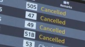 ANA 95便欠航 約1万3200人に影響　使用機体の整備作業のため　欧州航空安全庁がエアバス機に整備作業を指示