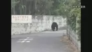 8日宇都宮市の全ての市立小中学校が臨時休校　夜中も相次ぐクマの目撃　警察や猟友会がパトロールで注意呼びかけ