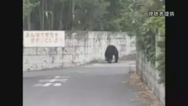 8日宇都宮市の全ての市立小中学校が臨時休校　夜中も相次ぐクマの目撃　警察や猟友会がパトロールで注意呼びかけ