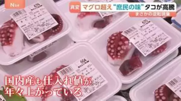 【タコ異変】マグロを超える高値に！国産も高騰で価格の「逆転現象」