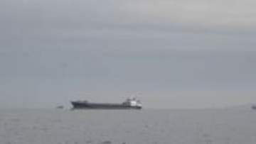 イラン革命防衛隊がコンテナ船を攻撃　英海事当局