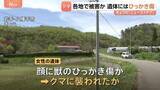 「各地でクマ出没 岩手で女性遺体 クマに襲われたか 遺体に“ひっかき傷”　山形では男性が体長約1mのクマに襲われる　顔や体にケガも命に別状なし」の画像1