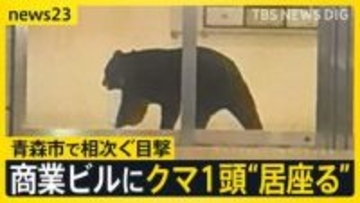 青森市でクマ1頭がホテルなどが入る商業ビルで“居座り” 中心街に響いた2発の銃声…出没から約3時間後に緊急銃猟で駆除【news23】