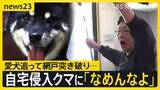 「防犯カメラにクマ襲撃の瞬間 住宅街などで4人襲い福島市の工場内に居座る　相次ぐ“クマ被害”　岩手・自宅侵入のクマに「なめんなよ」【news23】」の画像1