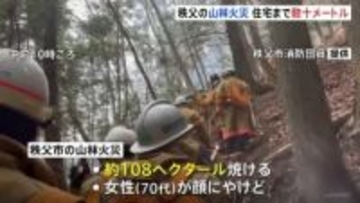埼玉・秩父の山林火災　火は最も近い住宅まで数十メートルに迫る　約108ヘクタール焼け、消防が270人態勢で消火活動続ける