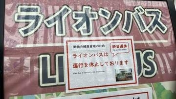 ライオン3頭が立て続けに死ぬ　多摩動物園公園　熱中症か