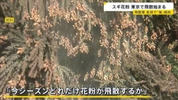 あす春節　賑わう観光地では「目薬とティッシュは必ず…」スギ花粉　東京で飛散開始　一方でインフルB型急増　1シーズンで2度「警報レベル」超え【news23】