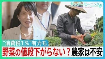 消費税“1%”有力も野菜の値段は下がらない？農家「高くなる可能性」”収入源”に不安の声　資材高騰による価格転嫁も…【サンデーモーニング】