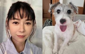 【 真木よう子 】愛犬シェリーが退院〝皆様の優しさが大きな支えになりました〟今後は定期的に通院