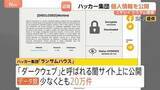 「20万件以上を闇サイトに公開か　盗まれたニチレイの従業員や取引先の電話番号などのデータ　ロシア系ハッカー集団」の画像1