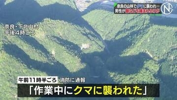 「作業中にクマに襲われた」60代男性が顔や両腕など噛まれて出血し病院に搬送　奈良・下北山村