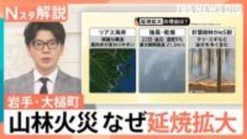 迫る炎の脅威…岩手・山林火災「数年に1回の規模」に　なぜ延焼拡大？“負のスパイラル”断ち切るには【Nスタ解説】