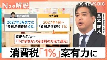 消費税「4月から1％」案が政府内で有力に、「統一地方選挙」前に公約実現で成果をアピール？【Nスタ解説】