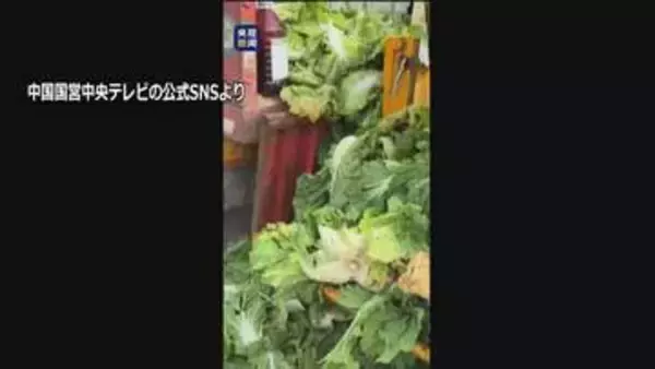 中国　発がん性指摘のホルムアルデヒドに浸した白菜めぐり3人を刑事拘留