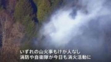 群馬と神奈川で「山火事」相次ぐ　いずれも鎮火に至らず、消防や自衛隊がきょう朝から消火活動を再開する予定