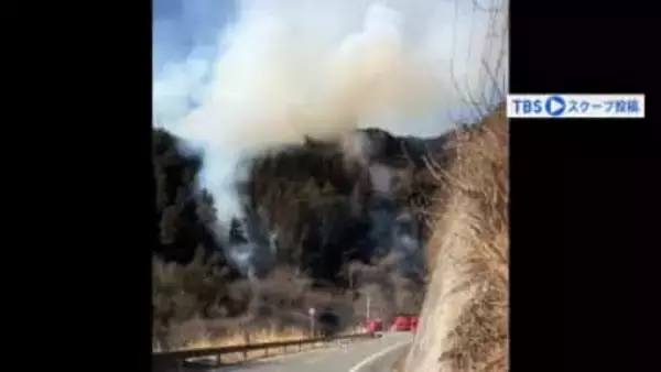 栃木・鹿沼市の粟沢トンネル付近で山林火災　けが人確認なしも現在延焼中