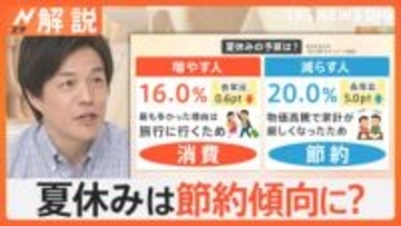 夏休みのレジャー 今年は“節約傾向”　注目の「避暑地」「無料」スポットを紹介【Nスタ解説】