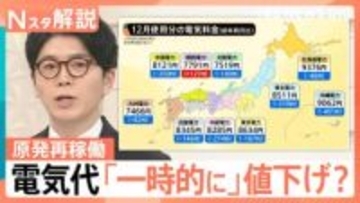 原発の再稼働で電気料金は安くなる？ 莫大な維持費に安全対策などの課題も【Nスタ解説】