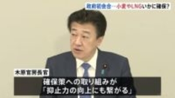 政府初会合　LNGや小麦など生活に不可欠な物資の確保策を検討　来年夏めどに方針取りまとめへ