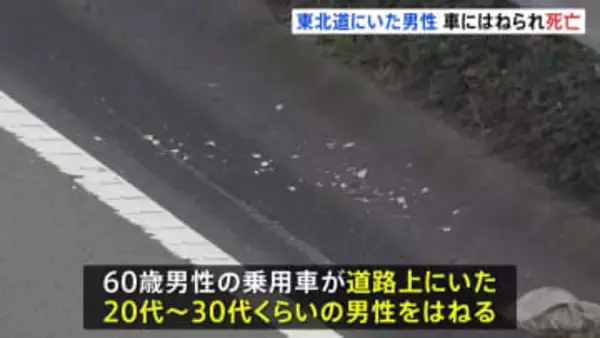 東北道で道路上にいた男性を乗用車がはねる　男性は死亡　警察は男性が高速道路にいた経緯など捜査　埼玉・蓮田市