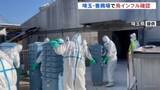 「埼玉・嵐山町の養鶏場で鳥インフルエンザ確認　県内“過去最多規模”24万羽の殺処分開始」の画像1