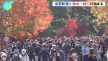 皇居・乾通りで秋の一般公開始まる　色鮮やかなモミジやカエデ　初日は約2万人訪れる　11月29日～12月7日