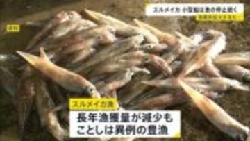 「スルメイカ」 漁獲枠拡大でも漁獲量が枠超え　小型船は漁の停止命令続く