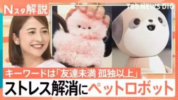 孤独は嫌…でもストレスなしのコミュニケーションをとりたい！「友達未満 孤独以上」のペットロボット【Nスタ解説】