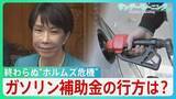 「店頭から消える“色彩”…ナフサ問題「流通の目詰まり」　野党は“買い占め”に政府介入求めるも高市総理は否定的　補正予算めぐり論戦、ガソリン補助金見直しの行方は？【サンデーモーニング】」の画像1