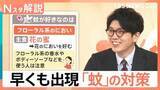 「「ぷ～ん」まだ5月なのに…かゆい！早くも出現「蚊」に注意、刺されないために【Nスタ解説】」の画像1