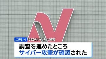 ニチレイ “サイバー攻撃”を確認 個人情報漏えいの可能性も　影響受けた冷凍食品の出荷などは17日から順次再開へ