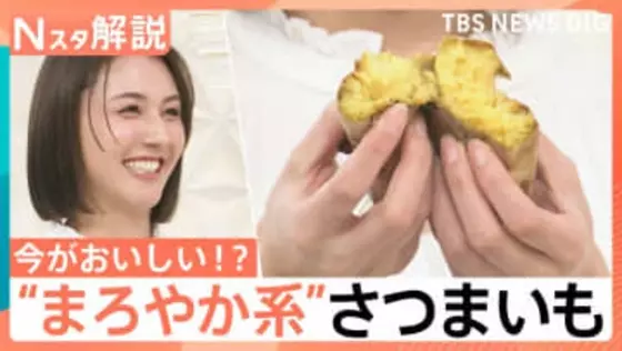 ねっとり派？ホクホク派？ 甘さ引き立つ冬のさつまいも…“まろやか系”も登場、農家直伝！さつまいもの選び方【Nスタ解説】