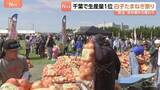 「人気の新玉ねぎ10キロ2000円　千葉・白子町で“たまねぎ祭り” 「全然違いますね味が」辛み少なく濃厚な甘さが特徴」の画像1