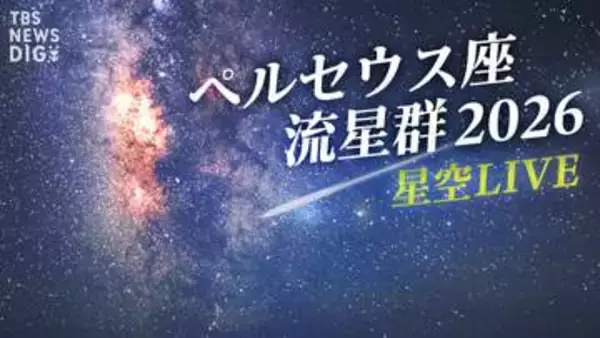 “三大流星群”ペルセウス座流星群がまもなくピーク！最も観測に適したタイミングは？観測のポイントは？カメラマンが教えるコツは「より暗いところ」
