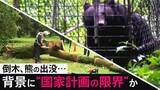「相次ぐ倒木、熊の出没被害…背景に130年前の“国家計画の限界” 東大教授が提言する縦割り行政の闇と「自分さえ良ければ」からの脱却」の画像1