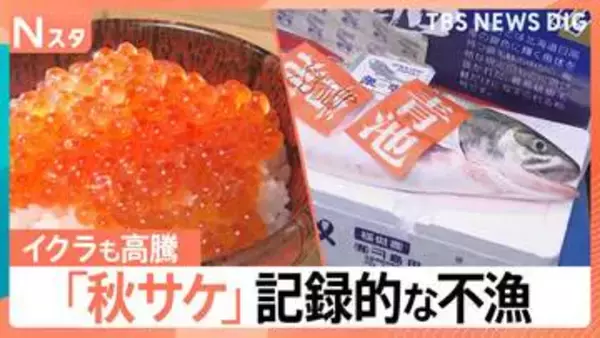 秋サケ不漁で高騰「1切れ約500円」救世主となるか JR四国やNTTなど「サーモン養殖」に異業種が続々参入【Nスタ解説】