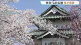 「青森・弘前公園のソメイヨシノが史上2番目の早さで満開に　全国有数のサクラの名所」の画像1