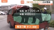 GWにも出没「後ろを向いたらクマが…」4月ツキノワグマによる死者は約20年で初の“異例”の事態…観光地でも“音バリア”・ドローンで対策