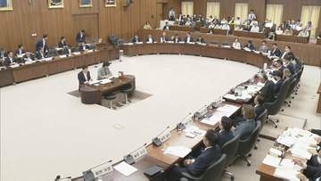 衆院・憲法審査会が国民投票テーマに集中討議　自民は国民投票法改正案を今国会提出の方針示し速やかな審議求める