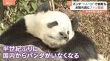 「日本から半世紀ぶりにパンダがいなくなる…双子パンダ中国へ返還　16日から観覧は“1分制限”」の画像1