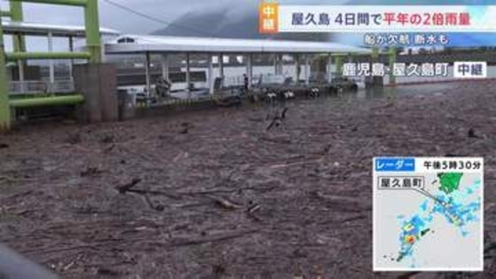 記録的大雨で大量の流木が漂着　高速船が接岸できず欠航するなど生活に影響　鹿児島・屋久島町 宮之浦港