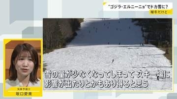 史上最大の「ゴジラ・エルニーニョ」に警戒を…今年続くさまざまな“天候不順”と関係か　今冬は暖冬傾向でも“ドカ雪”に注意【news23】