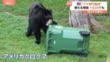 住宅街にクマが現れる町　アメリカの「クマ対策専門」州職員に密着　住民守る訓練も