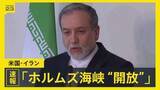 「イラン外相 停戦の残り期間は「ホルムズ海峡の商船の通航は完全開放」 トランプ大統領はSNSで「ありがとう！」もイランの海上封鎖続ける考え」の画像1