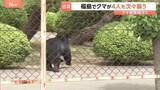 「「クマに噛まれた」福島市の工場や住宅街に出没　4人けが　防犯カメラに従業員を襲い、走って追いかける様子　今も工場に居座りか」の画像1